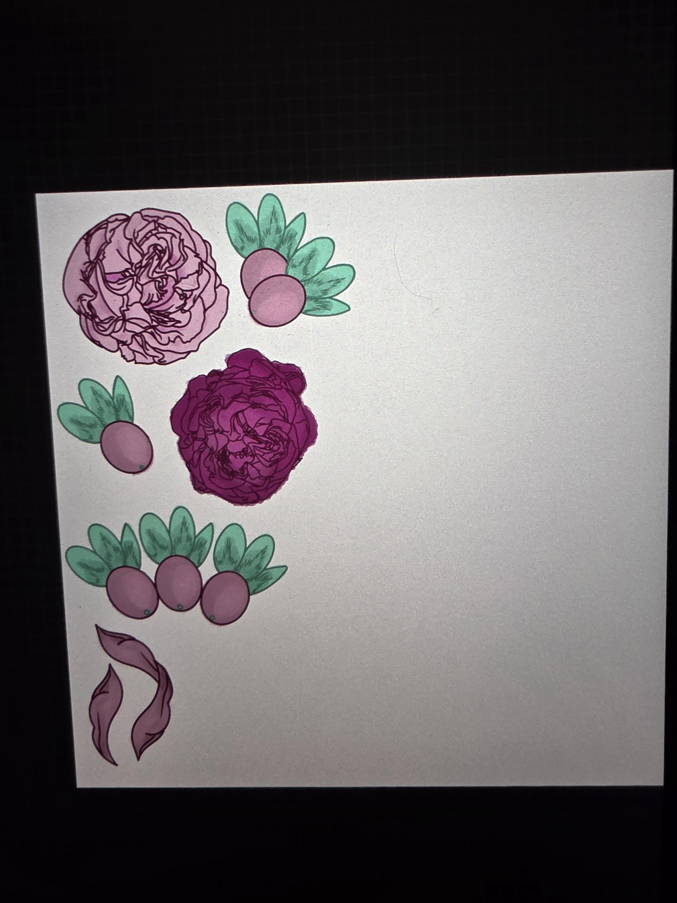 Watercolor 6pck Flowers and Berries Stickers pink and green color