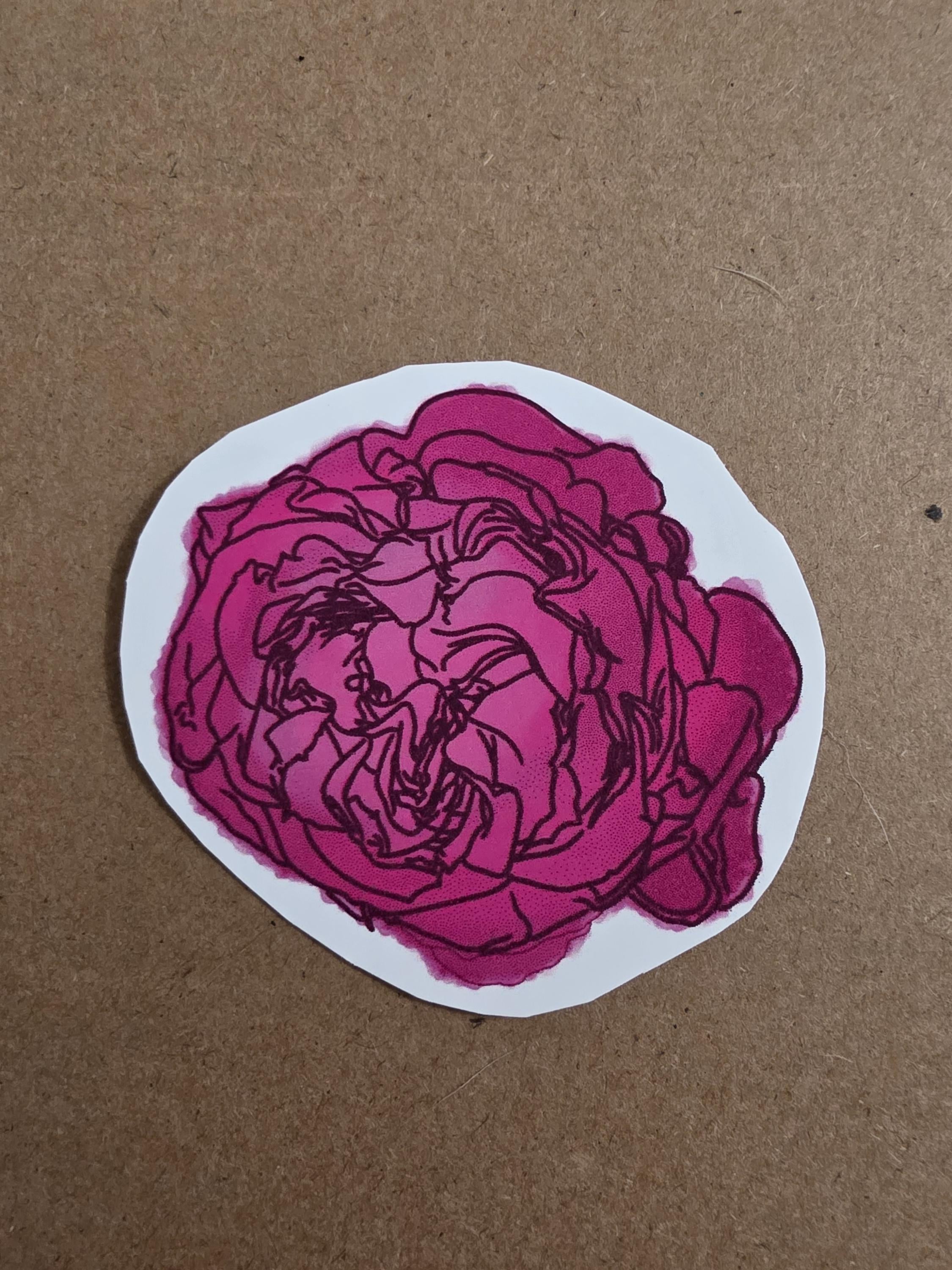 Watercolor 6pck Flowers and Berries Stickers pink and green color